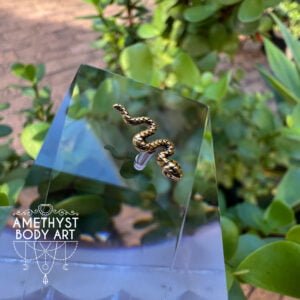 PVD Gold Snake
