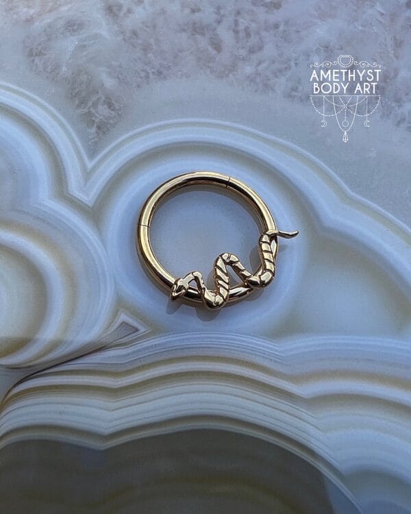 Titanium Hinged Segment Ring - PVD Gold - Snake - Image 3
