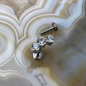 Cluster with 3 Prong set Clear CZ and Titanium Labret.